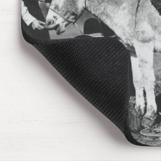 冗談にろばと提起している7人のロデオの女性のカーボーイ マウスパッド (コーナー)