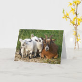 冗談のまわりにハッピーバースデー カード (黄色い花)