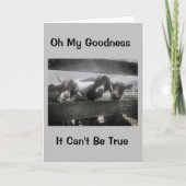 「冗談」に違いない「16」のカードにはなれない カード (正面)