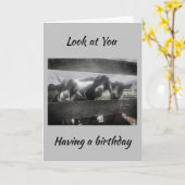 「冗談」に違いない「60」のカードにはなれない カード (黄色い花)