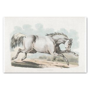 写生のランニング白馬スポーツのの(1817年～1年 薄葉紙