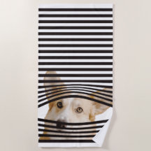 写真おもしろいのモダン愛犬家