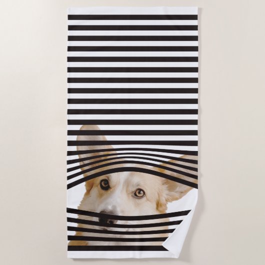 写真おもしろいのモダン愛犬家 ビーチタオル (正面)