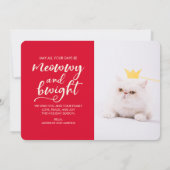 写真おもしろいの休日のあいさつメリーきのシーズン (裏面)