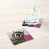 写真おもしろい猫好き スクエアペーパーコースター (インサイチュ)