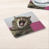 写真おもしろい猫好き スクエアペーパーコースター (アングル)