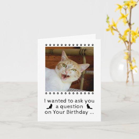 写真おもしろい猫犬ペット誕生日カード カード (黄色い花)