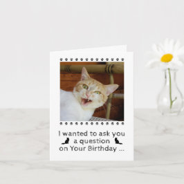 写真おもしろい猫犬ペット誕生日カード カード