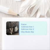 写真お気に入りの住所 シール (インサイチュ)