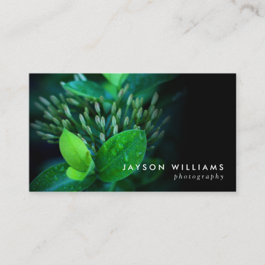 写真お洒落家、写真の名刺 名刺 (正面)