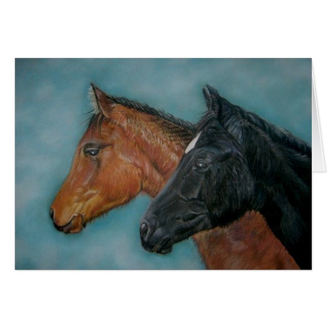 写真かわいい黒子馬栗の馬 (正面横)