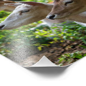 写真が聞こえる フォトプリント            (角)