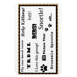 写真これ！磁石 マグネット