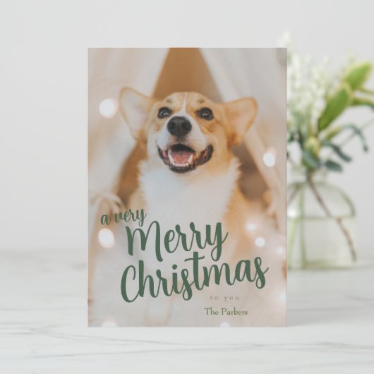 写真でクリスマスを楽しもう シーズンカード (スタンド正面)