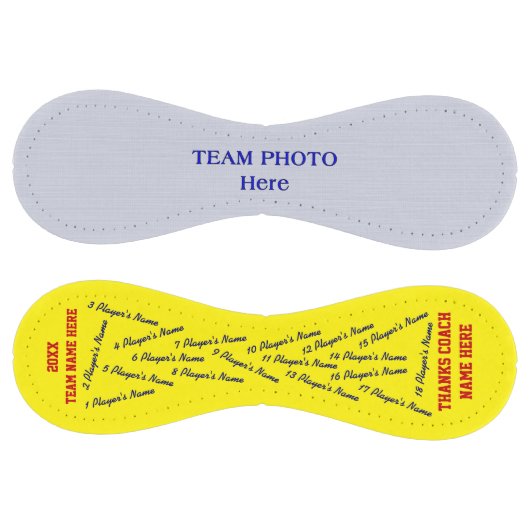 写真とすべてのプレイヤー名ソフトボールのコーチのギフト ソフトボール (パネル)