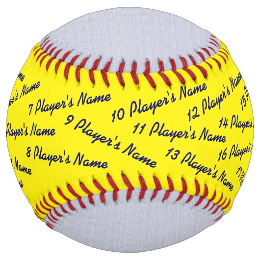 写真とすべてのプレイヤー名ソフトボールのコーチのギフト ソフトボール (裏面)