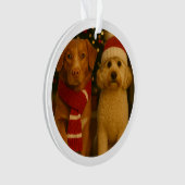 写真とカスタム文字パーソナライズされた オーナメント (正面)