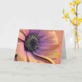 写真とデザインby Charmaine フランスの-Allaka 112010 カード (黄色い花)