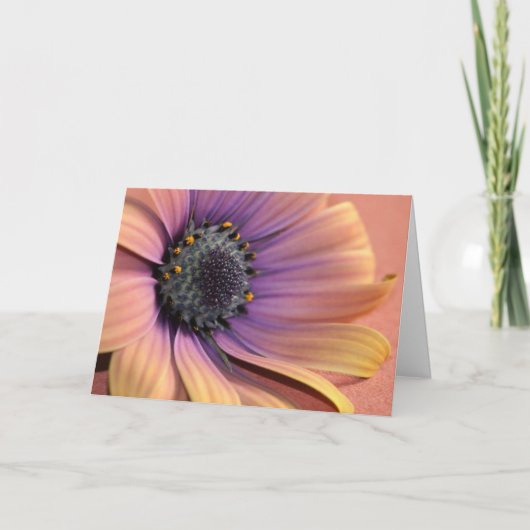 写真とデザインby Charmaine フランスの-Allaka 112010 カード (正面)