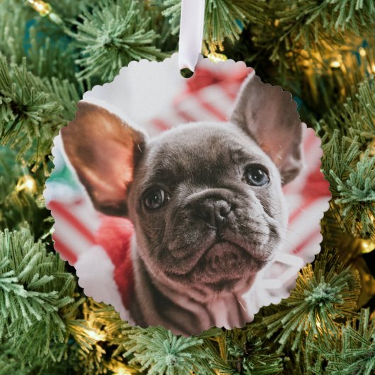 写真とパーソナライズされた文字クリスマスツリー オーナメントカード (インサイチュ (木))