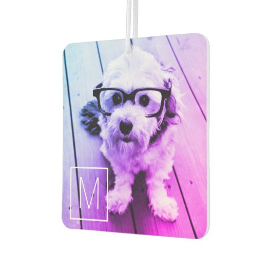 写真とモノグラムの自動フィルター – マイアミ カーエアーフレッシュナー (左)