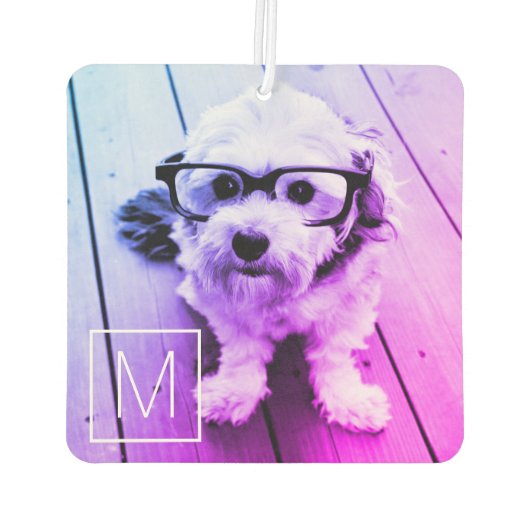 写真とモノグラムの自動フィルター – マイアミ カーエアーフレッシュナー (裏面)