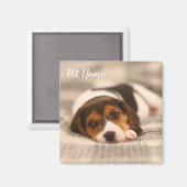 写真と名前でカスタマイズ可能なペット磁石 マグネット (正面/裏面)