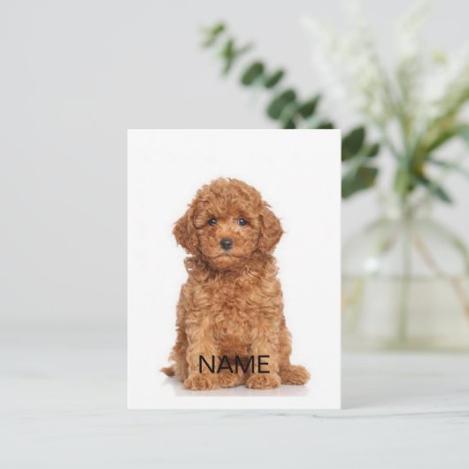 写真と名前でカスタマイズ・パーソナライズ ポストカード (スタンド正面)