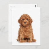 写真と名前でカスタマイズ・パーソナライズ ポストカード (正面/裏面)