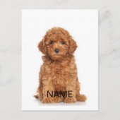 写真と名前でカスタマイズ・パーソナライズ ポストカード (正面)