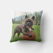 写真と名前はフランスのブルドッグ クッション (裏面)