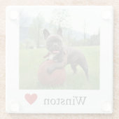 写真と名前Bulldogフランスの Dog Lover ガラスコースター (裏面)
