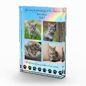 写真と思い出 – レインボーキャットメモリアル – フォトブロック (右)