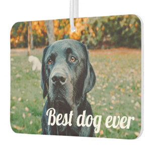 写真と文字カスタムパーソナライズされた カーエアーフレッシュナー