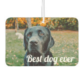 写真と文字カスタムパーソナライズされた カーエアーフレッシュナー (正面)