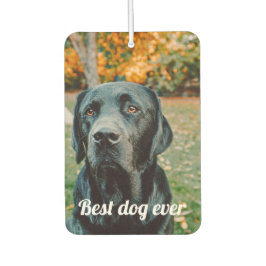 写真と文字カスタムパーソナライズされた カーエアーフレッシュナー