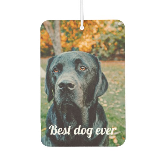 写真と文字カスタムパーソナライズされた カーエアーフレッシュナー (正面)