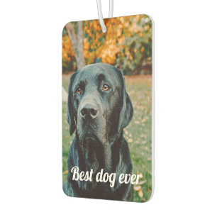 写真と文字カスタムパーソナライズされた カーエアーフレッシュナー