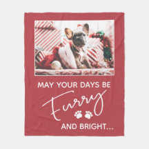 写真と白い前足の毛皮のクリスマスレッド