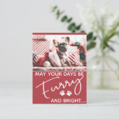 写真と白い前足の毛皮のクリスマスレッド ポストカード (スタンド正面)