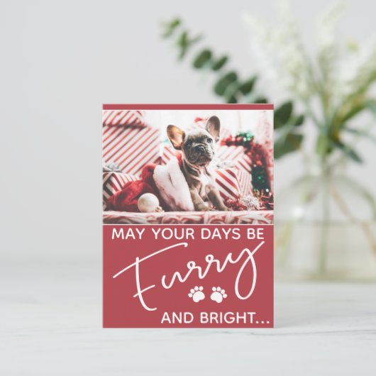 写真と白い前足の毛皮のクリスマスレッド ポストカード (スタンド正面)