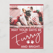 写真と白い前足の毛皮のクリスマスレッド ポストカード (正面)