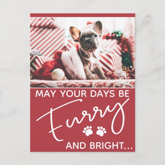 写真と白い前足の毛皮のクリスマスレッド ポストカード (正面)