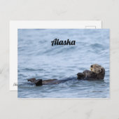 写真のはがき ポストカード (正面/裏面)