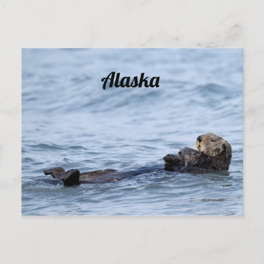 写真のはがき ポストカード (正面)