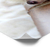 写真のアップロードカスタム方法 ポスター (角)