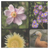 写真のアップロード ファブリック (クローズアップ)