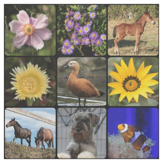 写真のアップロード ファブリック (見本)