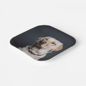 写真のアップロード ペーパープレート (傾斜あり)