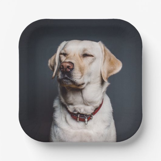 写真のアップロード ペーパープレート (正面)